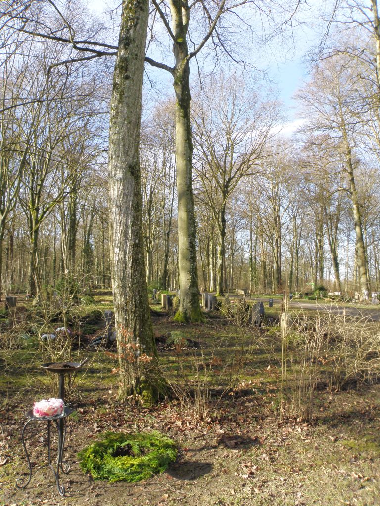 Waldfriedhof Nürtingen - für Bestattung dekoriertes Baumgrab